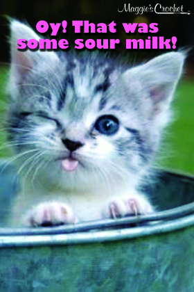 kitty-caption-contest-july-15-14