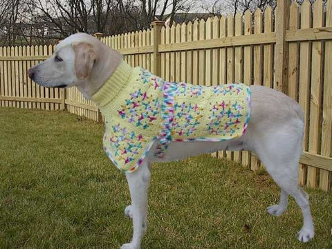 Crochet-Maggie-Weldon-Dog-Ponchos-PA822_large