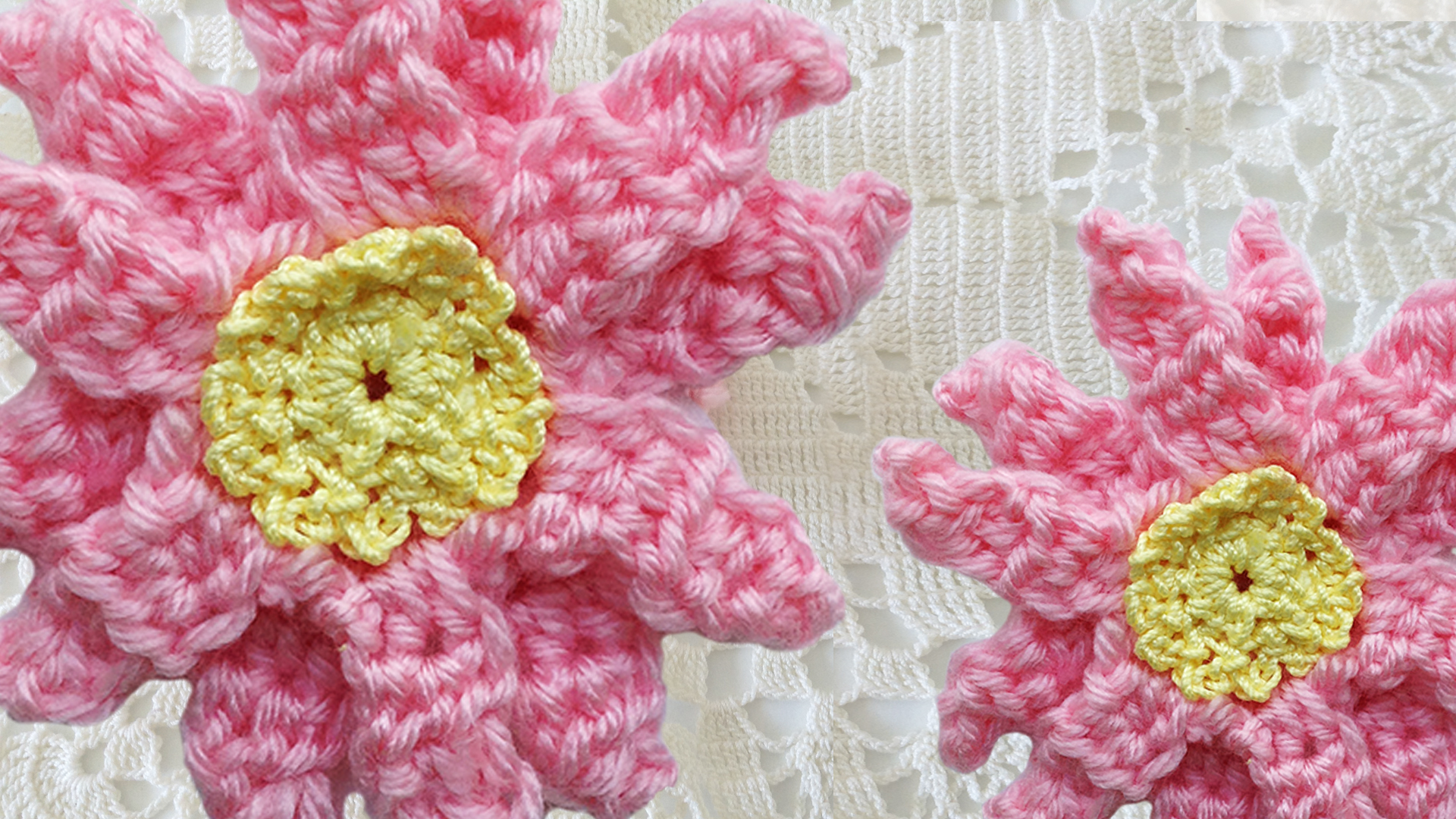 maggies-crochet-cosmos-flower-free-pattern-close-up