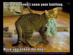 Um, no, I haven't seen your knitting.  Have you asked the dog?