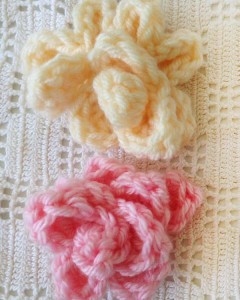 camelia-rose-lace-close-up-optw